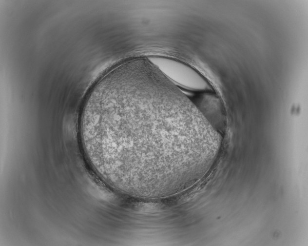 X0000090780107200708101842