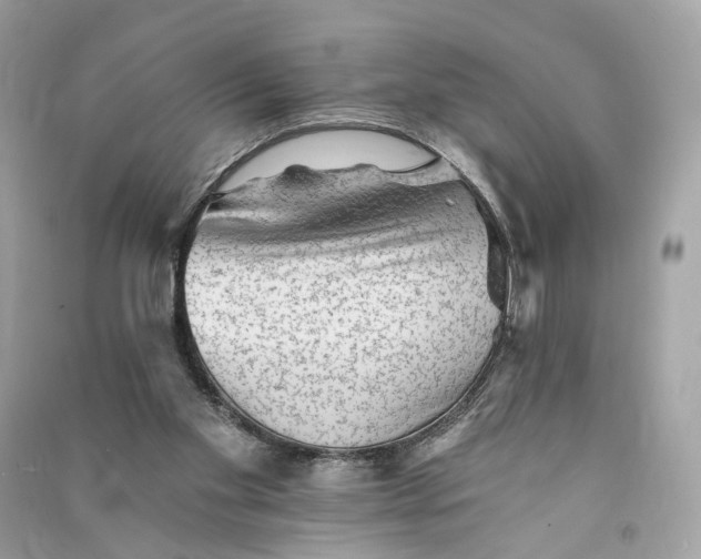 X0000090780109200708101842