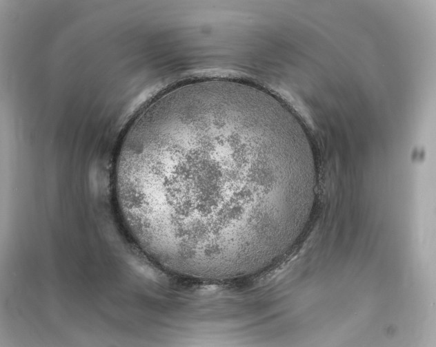 X0000090780111200708101842