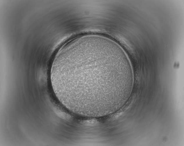 X0000090780112200708101842