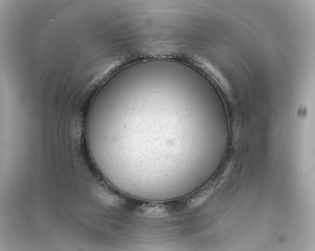 X0000090780113200708101842