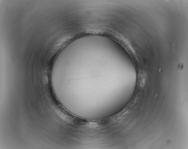 X0000090780114200708101842