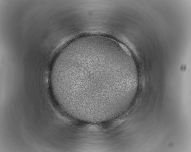 X0000090780115200708101842