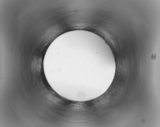 X0000090780118200708101842