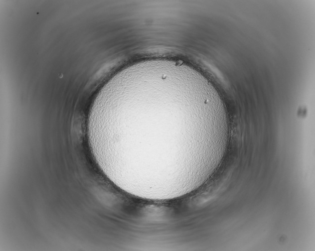 X0000090780119200708101842