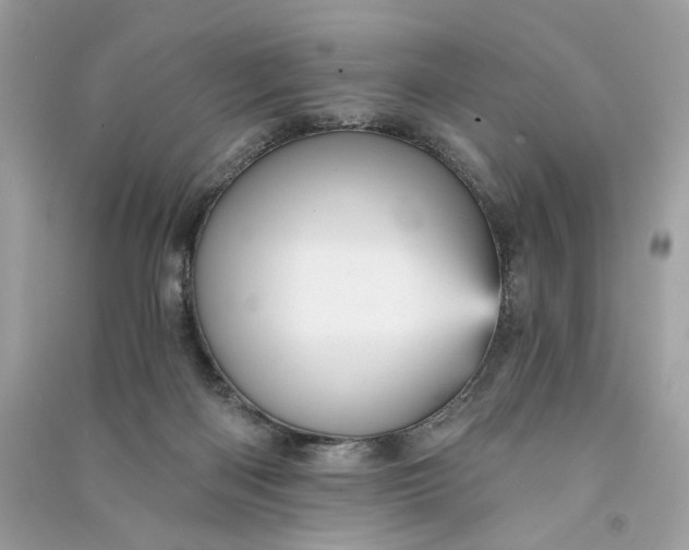 X0000090780122200708101842