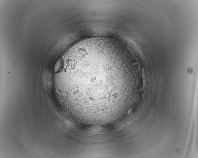 X0000090780123200708101842