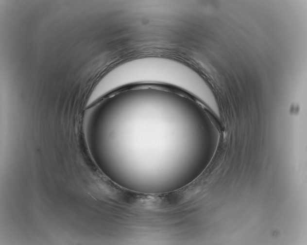 X0000090780125200708101842