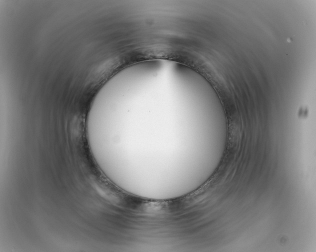 X0000090780126200708101842