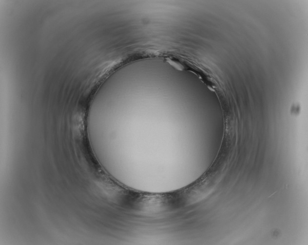 X0000090780127200708101842