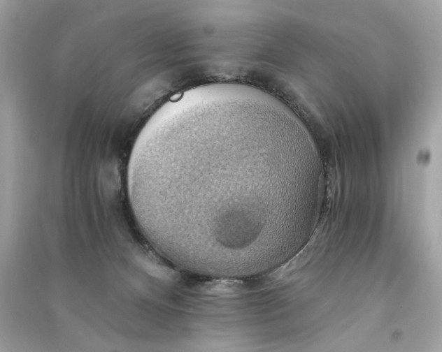 X0000090780128200708101842