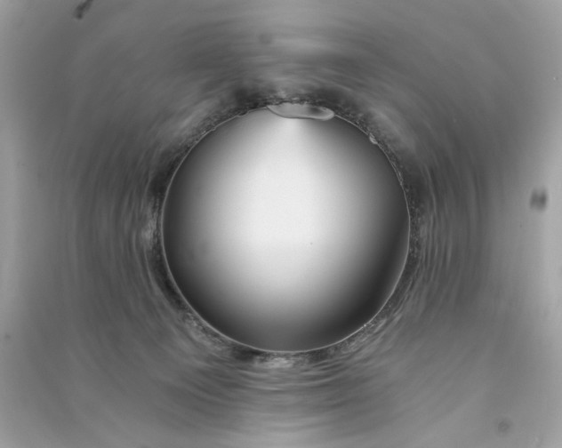 X0000090780129200708101842