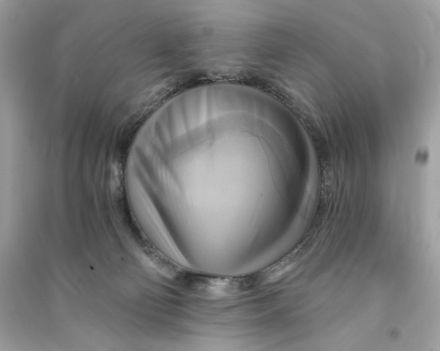 X0000090780130200708101841