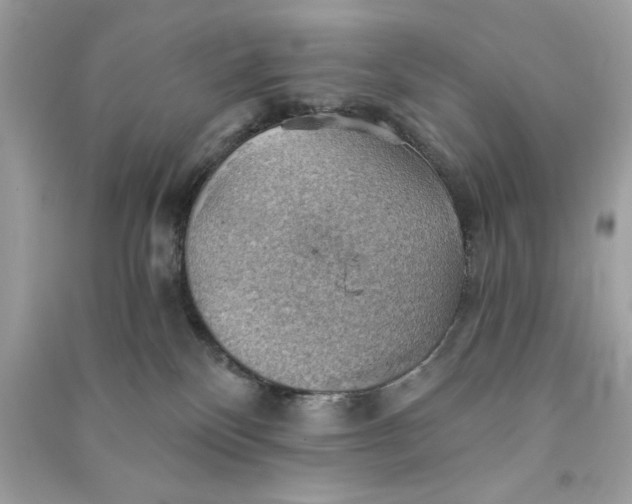 X0000090780136200708101841