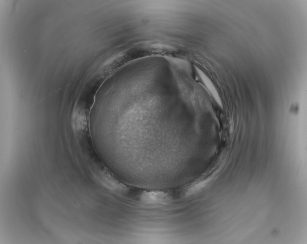 X0000090780137200708101841