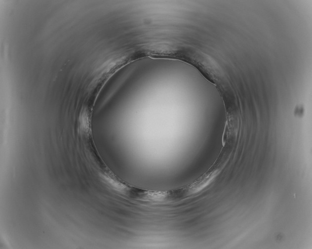 X0000090780143200708101841