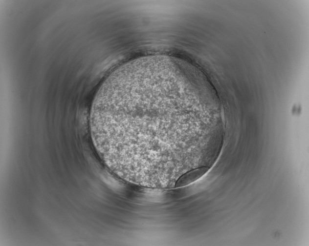 X0000090780144200708101841