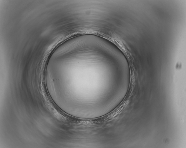 X0000090780145200708101841