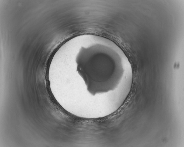 X0000090780146200708101841
