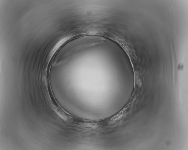 X0000090780147200708101841
