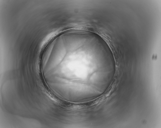 X0000090780149200708101841