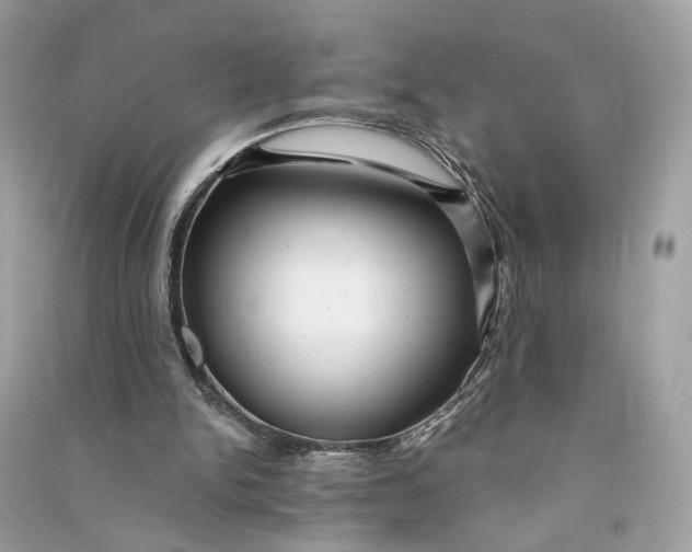 X0000090780150200708101841