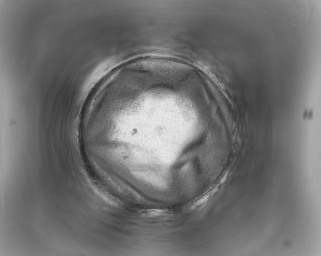 X0000090780151200708101841