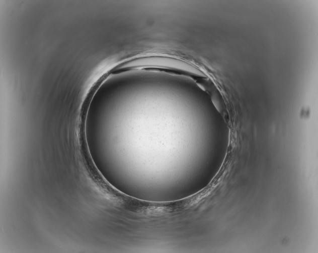 X0000090780152200708101841