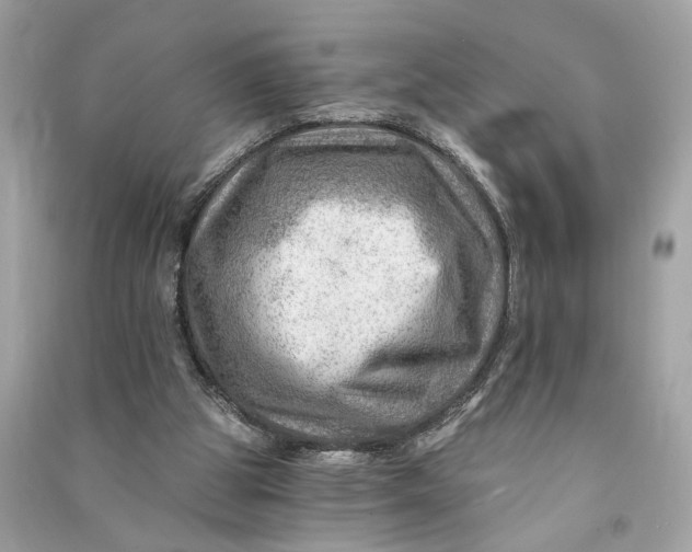 X0000090780153200708101841