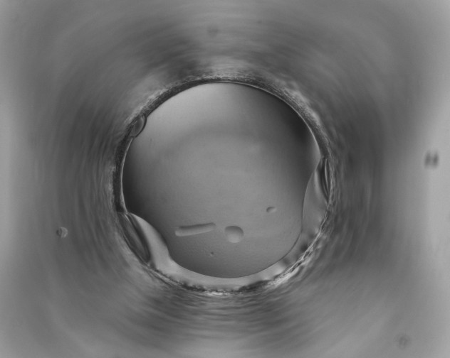 X0000090780154200708101841