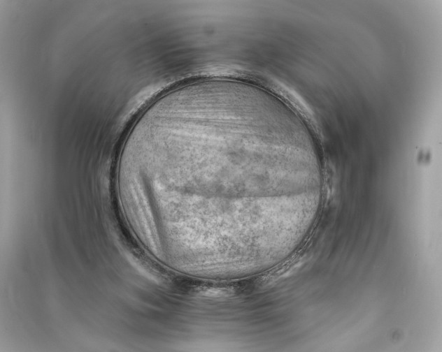 X0000090780155200708101841