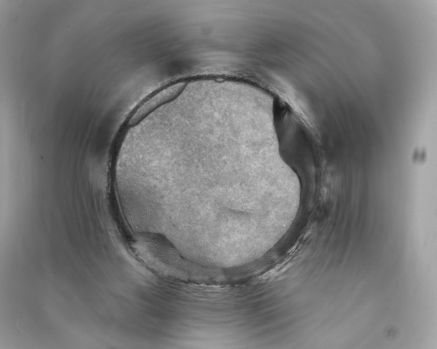 X0000090780156200708101841