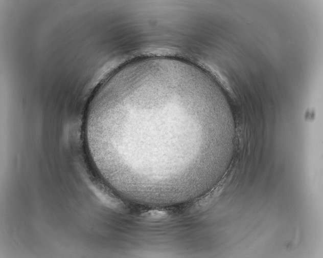 X0000090780159200708101841