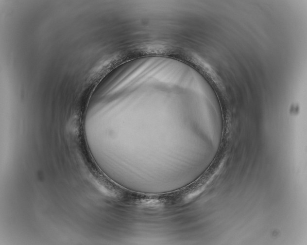 X0000090780161200708101841