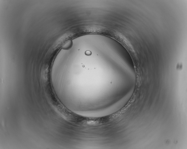 X0000090780163200708101841