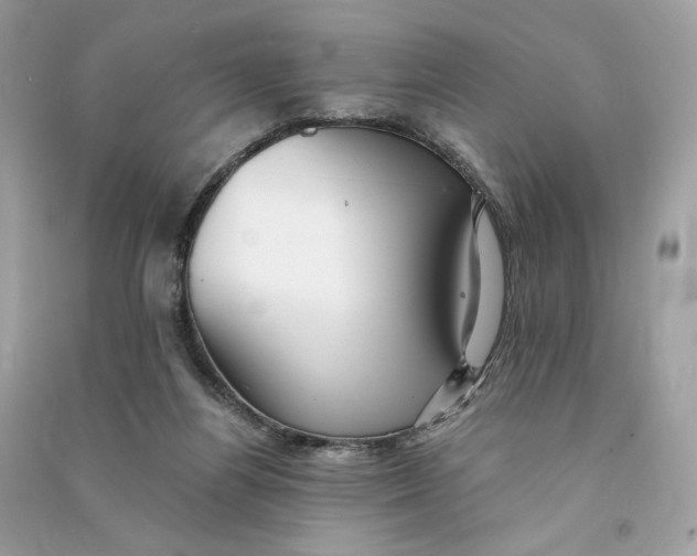 X0000090780164200708101841