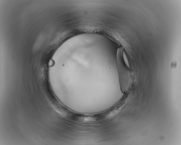 X0000090780165200708101841