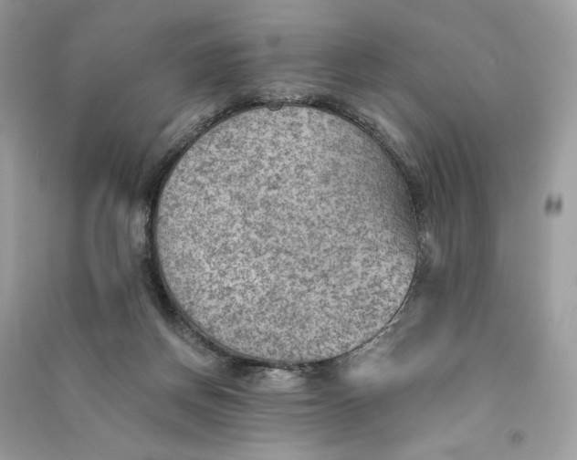 X0000090780166200708101841