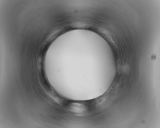 X0000090780167200708101841