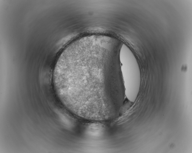 X0000090780168200708101841