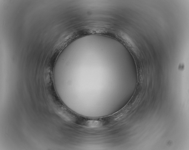 X0000090780169200708101841