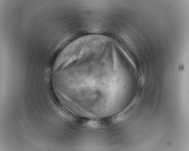 X0000090780171200708101841