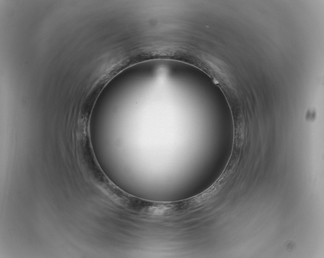 X0000090780172200708101841