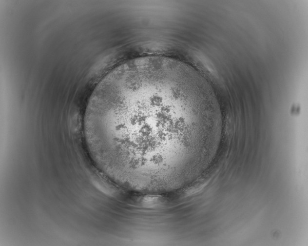 X0000090780173200708101841