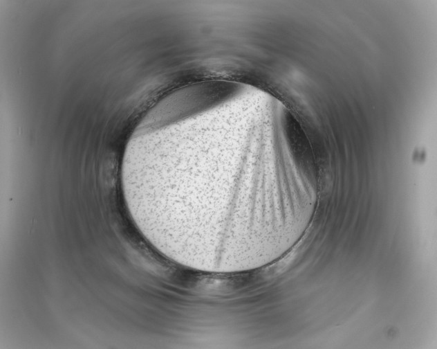 X0000090780174200708101841