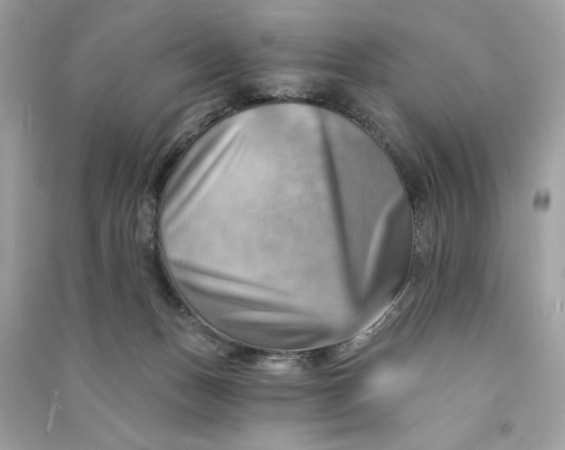 X0000090780175200708101841