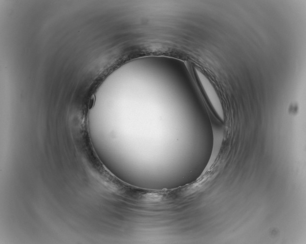 X0000090780176200708101841