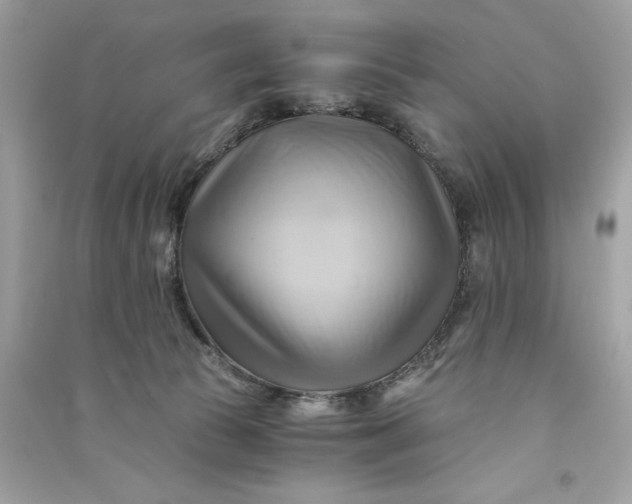 X0000090780177200708101841