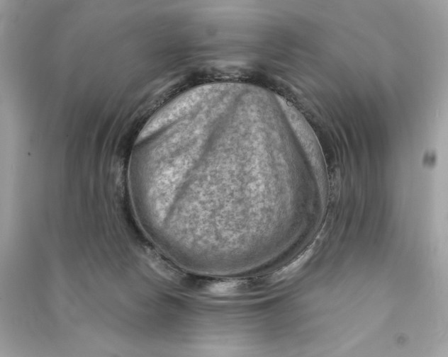 X0000090780178200708101841