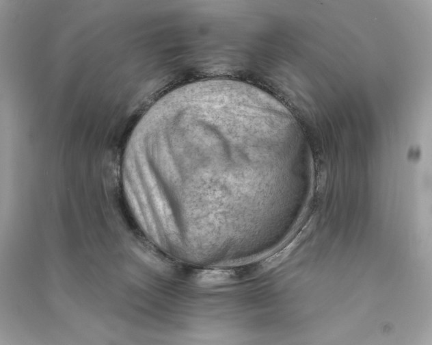 X0000090780179200708101841
